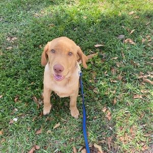 Meet your Posher, Carly